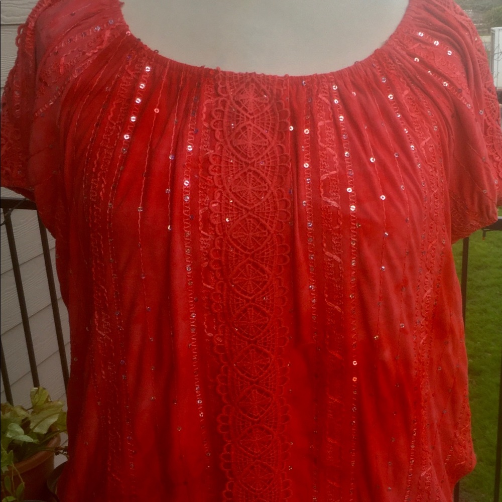 Dressbarn Beautiful Blouse with detail